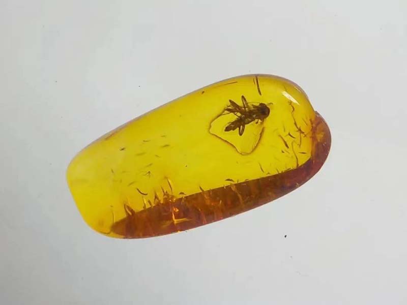 How to distinguish amber, see how many you know!