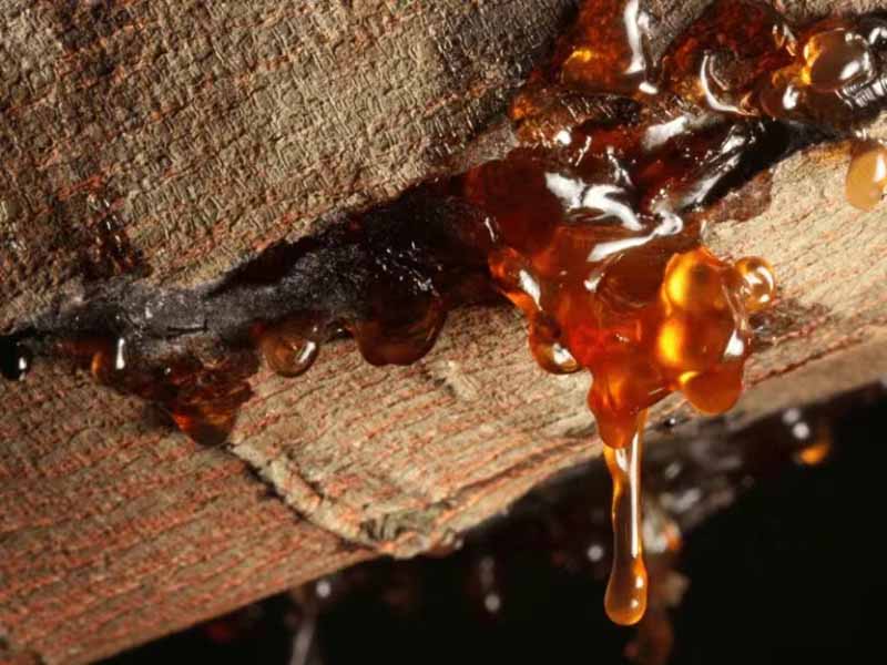 How to distinguish amber, see how many you know!