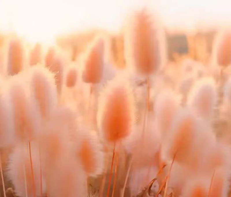 Gemstones on trend? See which Pantone color has the greatest impact on 2024